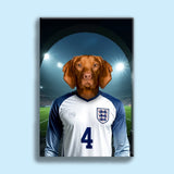 Declan Paw - fect – England Football Pet Art - 1 Pet - Furr and Family