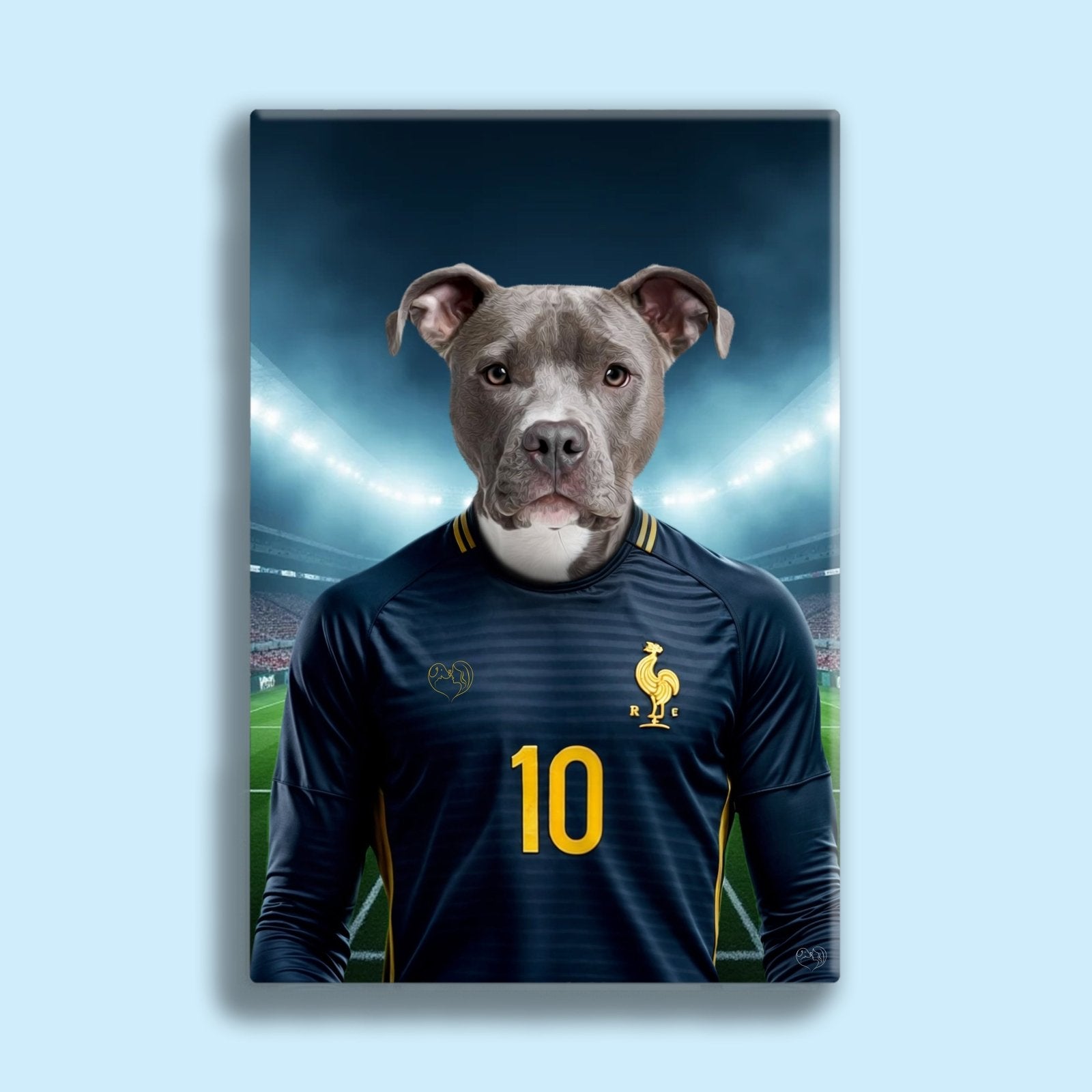 Kylian Mbappaw – Custom French Football Pet Portrait - 1 Pet - Furr and Family