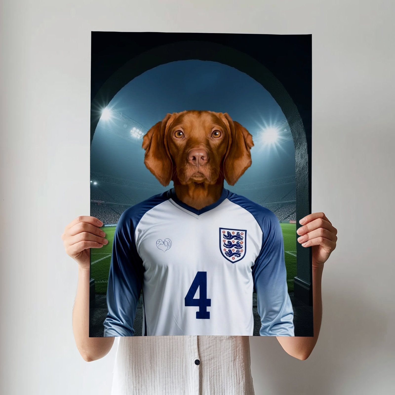 Declan Paw - fect – England Football Pet Art - 1 Pet - Furr and Family