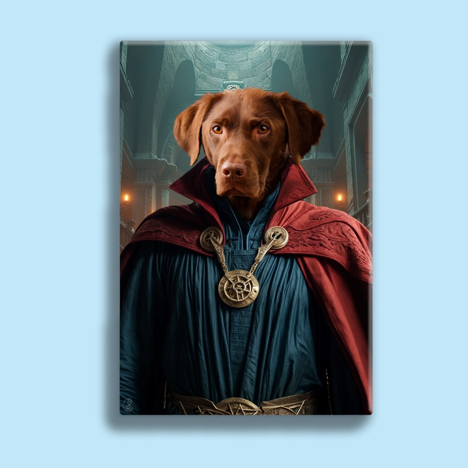 Doctor Strange – Custom Pet Portrait - 1 Pet - Furr and Family