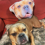 Custom Face Pillows from Pictures of Love Pets/Persons on it Personalized 3d Photo Pillow