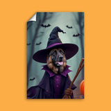 Pet Witch Halloween Pet Portrait - Custom Pet Portrait - 1 Pet - Furr and Family