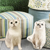 Custom Pet Shaped Memorial Pillow for Pet Owners from Your Pet Picture