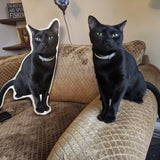 Custom Pet Shaped Memorial Pillow for Pet Owners from Your Pet Picture