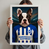 Custom pet portrait of a dog in 2025/26 Brighton & Hove Albion football jersey