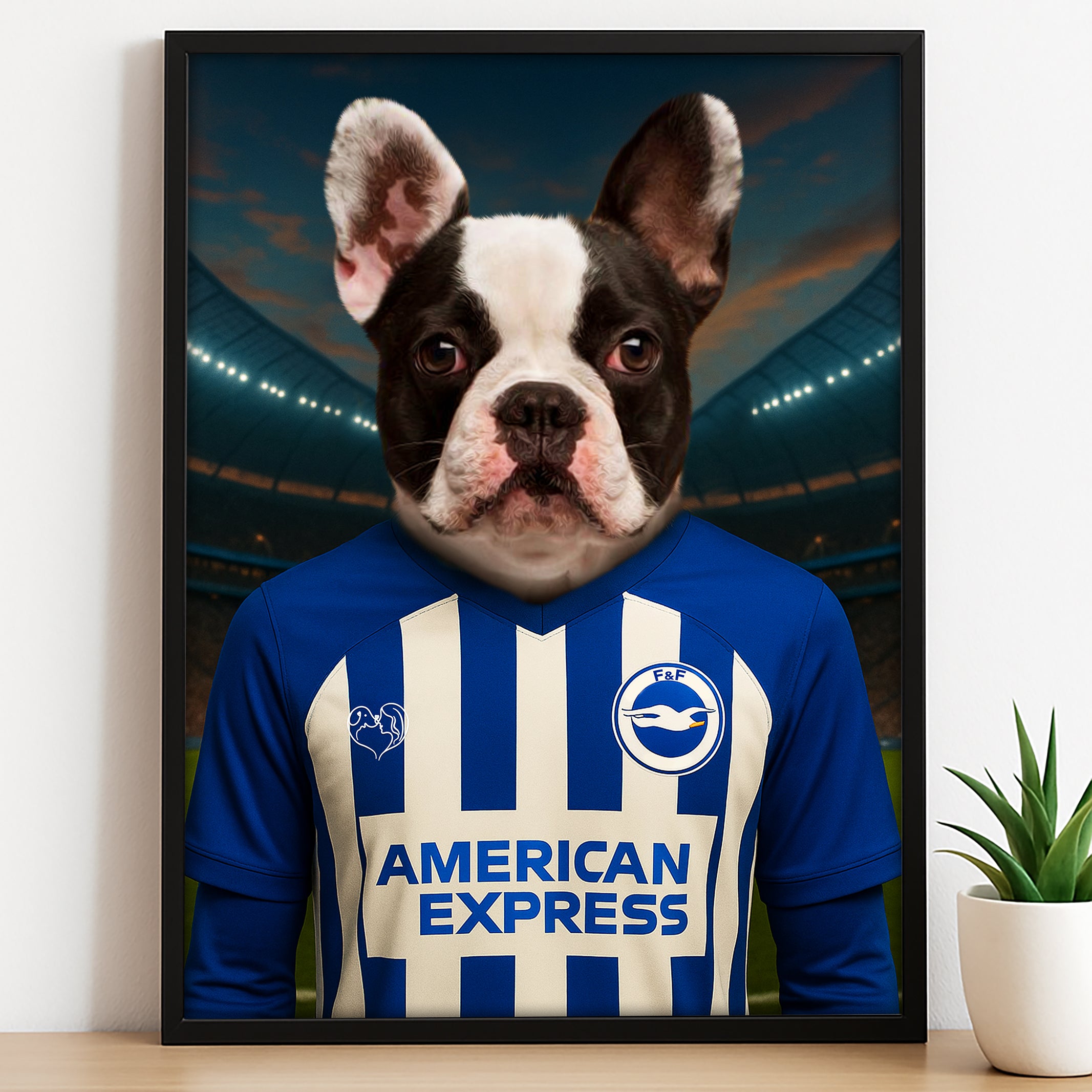 Custom pet portrait of a dog in 2025/26 Brighton & Hove Albion football jersey