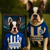 Custom pet portrait of a dog in 2025/26 Brighton & Hove Albion football jersey