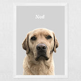 Realistic Pet Portrait - 1 Pet - Furr and Family