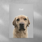 Realistic Pet Portrait - 1 Pet - Furr and Family