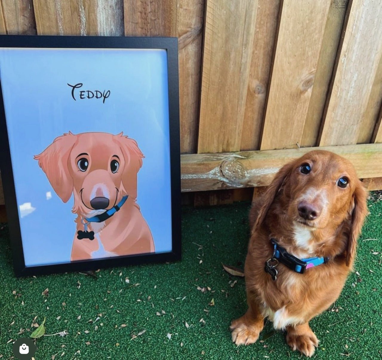 Disney Pet Art Style - Custom Pet Portrait - 1 Pet - Furr and Family