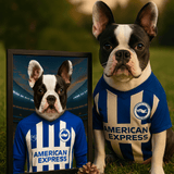 Custom Brighton & Hove Albion Pet Portrait - Pet Sports Theme - 1 Pet - Furr and Family
