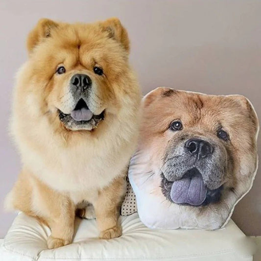 Custom Face Pillows from Pictures of Love Pets/Persons on it Personalized 3d Photo Pillow - 1 Pet - Furr and Family