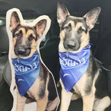 Custom Face Pillows from Pictures of Love Pets/Persons on it Personalized 3d Photo Pillow - 1 Pet - Furr and Family