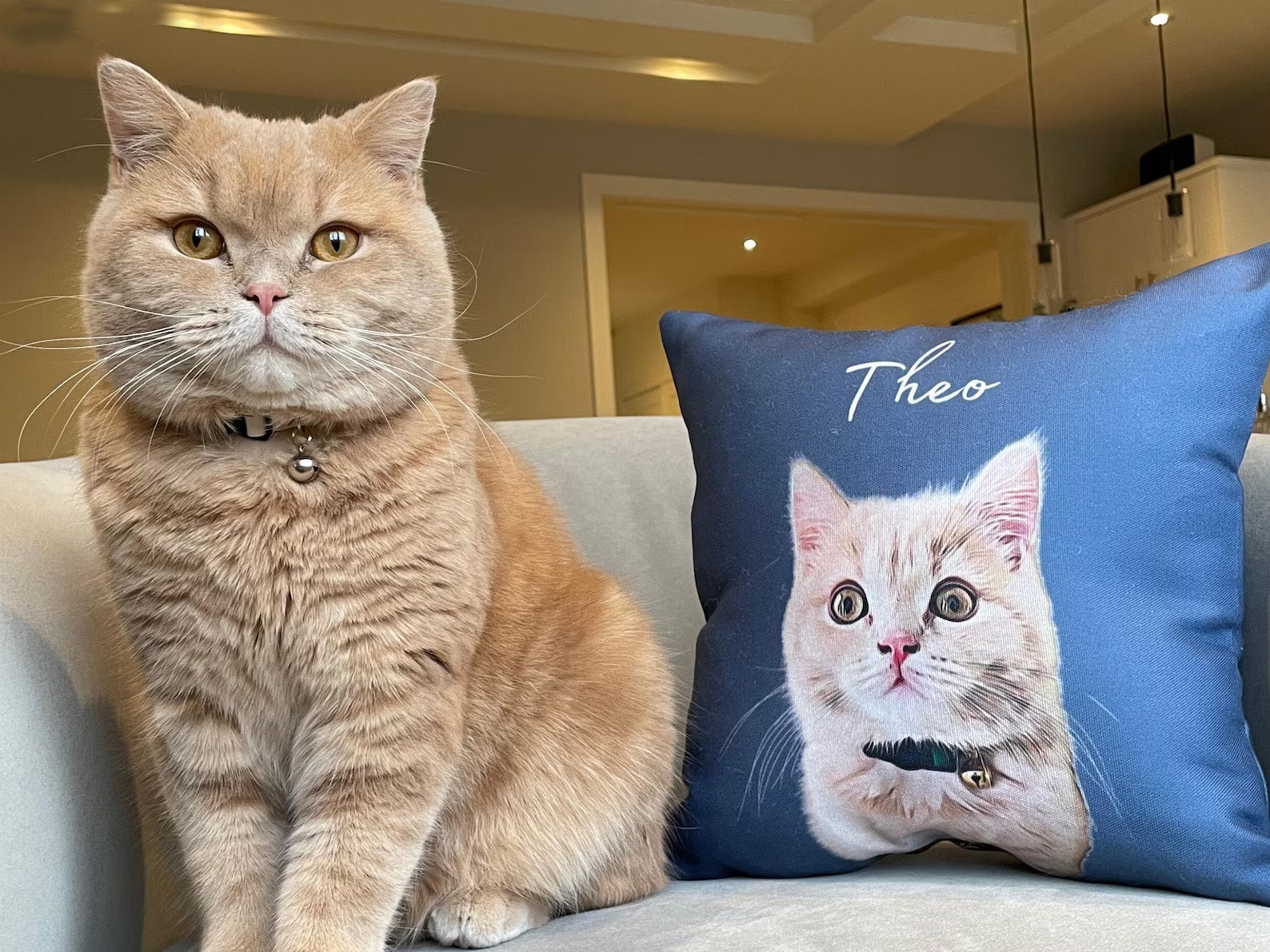 llustrated custom pet pillow featuring a brown dog portrait with the name “Frankie” printed above, on a white cushion cover.