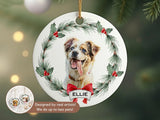Customized Ornament a - Keepsake Christmas Ornament Gift - 1 Pet - Furr and Family
