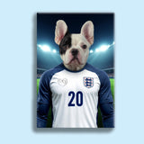 England’s Number 20 – Phil Foden Pet Portrait - 1 Pet - Furr and Family