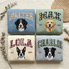 Custom Pet Embroidered Sweatshirt with Gingham Varsity Name
