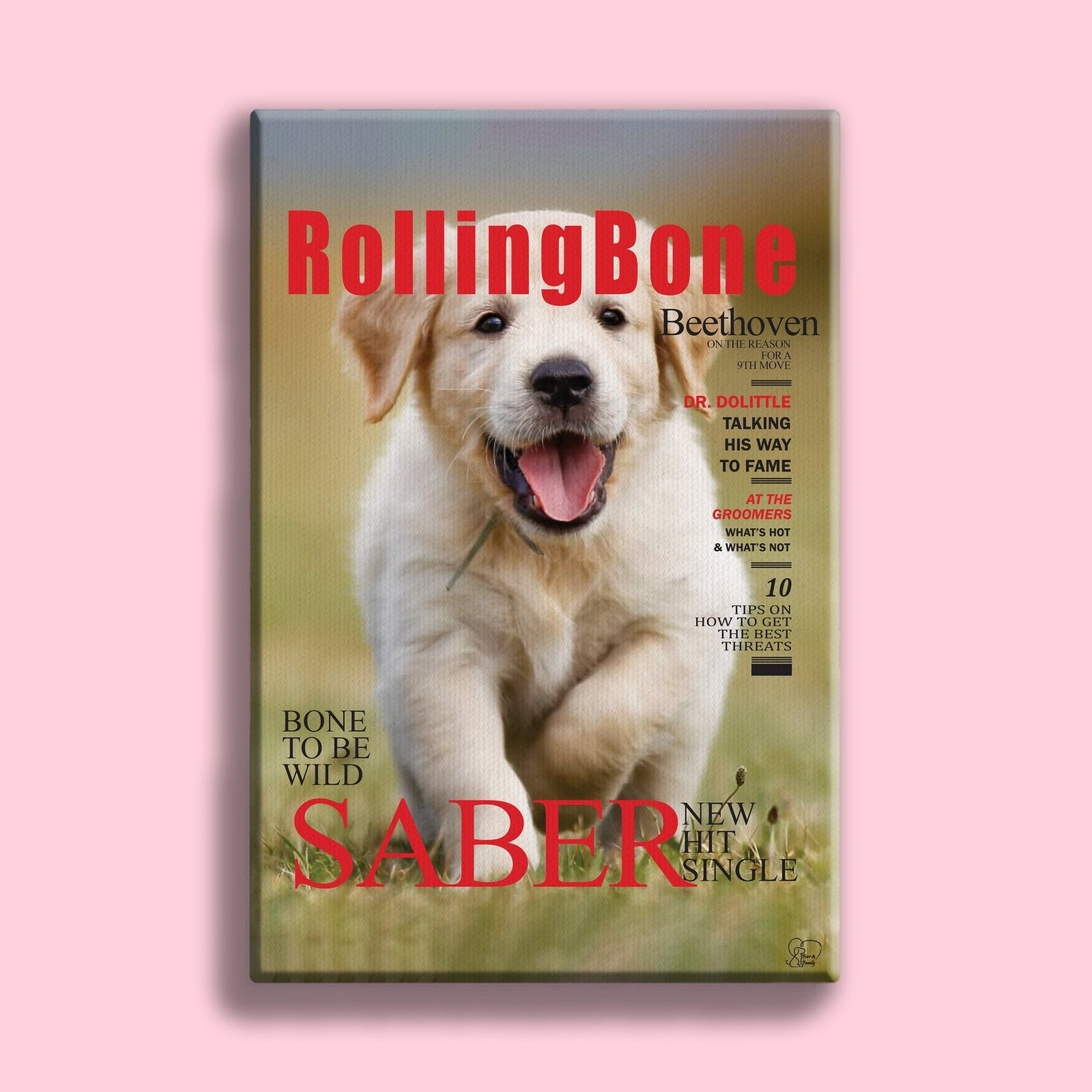 Famous Pet Magazine Covers - Custom Pet Portrait - 1 Pet - Furr and Family