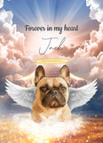 Halo Angel Style - Custom Pet Portrait - 1 Pet - Furr and Family