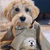 Personalized Pet Portrait Embroidered Sweatshirt- Colorful Design