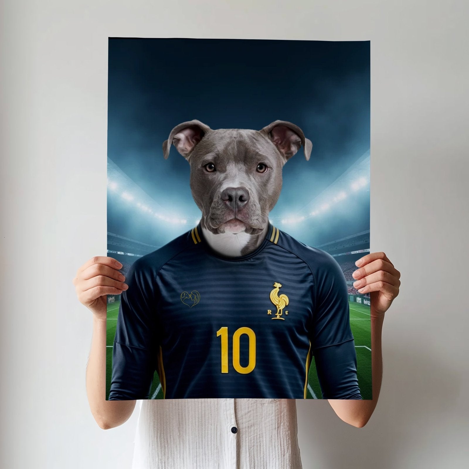 Kylian Mbappaw – Custom French Football Pet Portrait - 1 Pet - Furr and Family