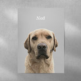 Realistic Pet Portrait - 1 Pet - Furr and Family