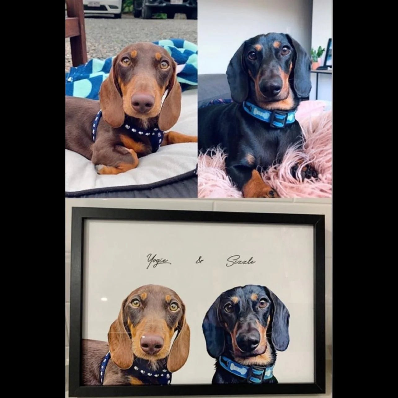 Realistic Pet Portrait - 1 Pet - Furr and Family