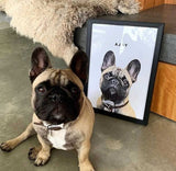 Realistic Pet Portrait - 1 Pet - Furr and Family