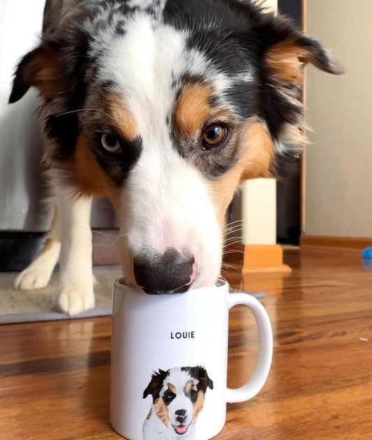 Modern Pet Vector - Custom Mug - 1 Pet - Furr and Family