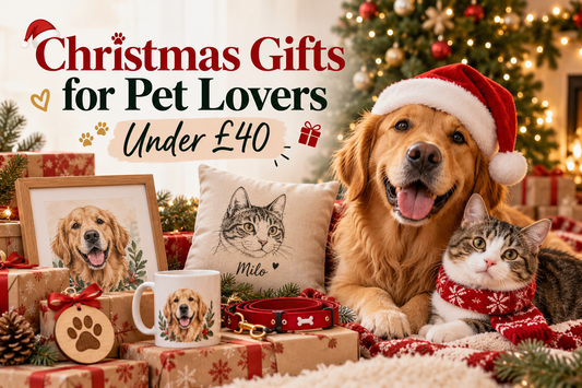 Christmas Gifts for Pet Lovers Under £40