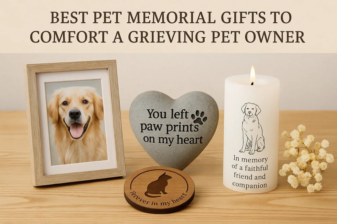 Best Pet Memorial Gifts to Comfort a Grieving Pet Owner