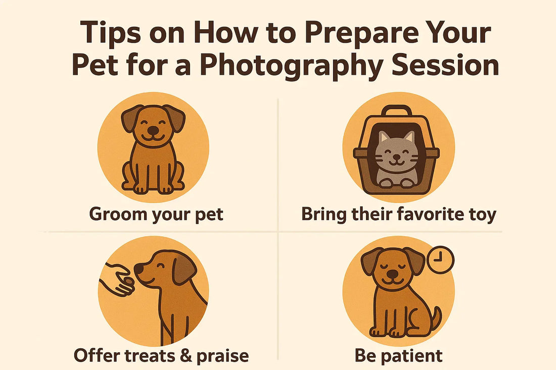 Tips on How to Prepare Your Pet for a Photography Session