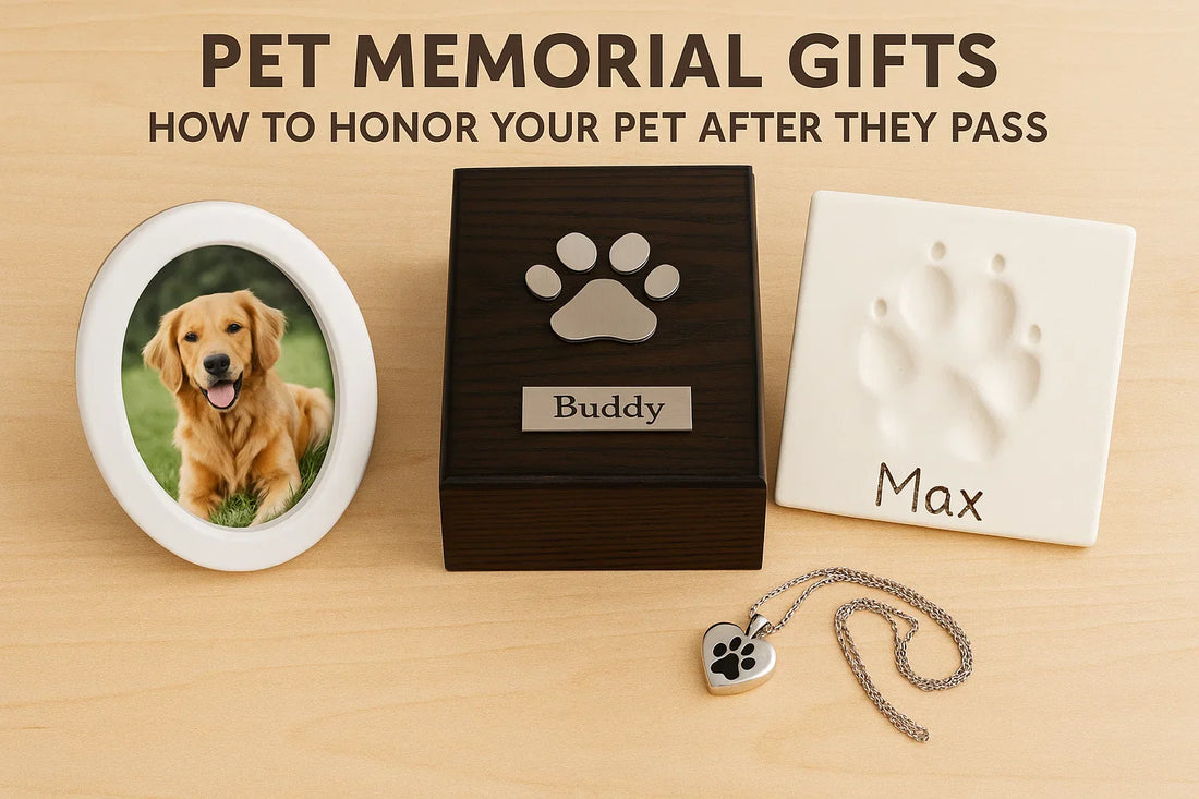 Pet Memorial Gifts: How to Honor Your Pet After They Pass