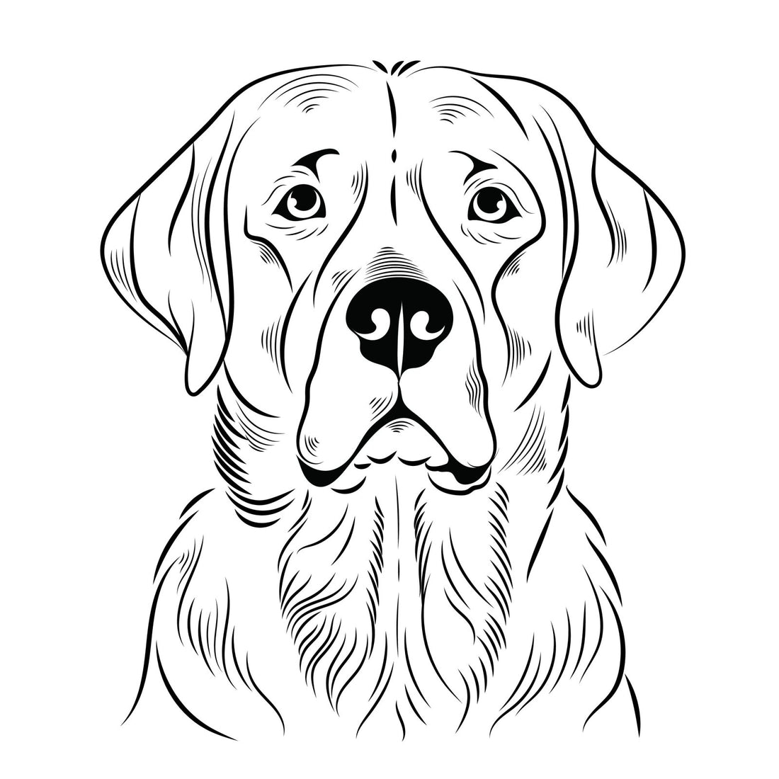 Exploring Pet Portraits in Line Art - Furr and Family