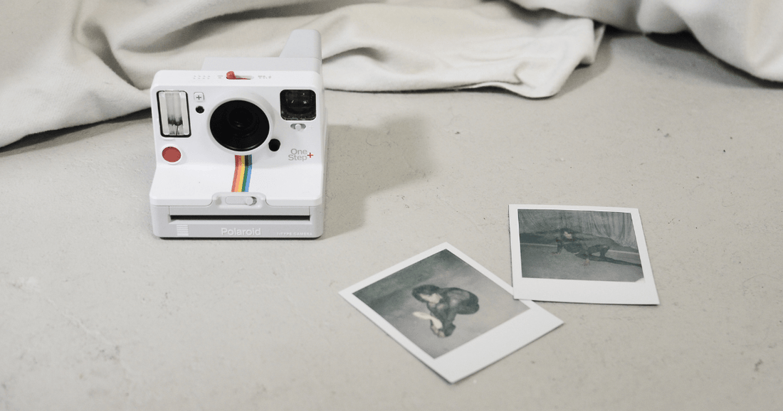 How to Capture the Best Photo for Your Custom Pet Portrait? - Furr and Family