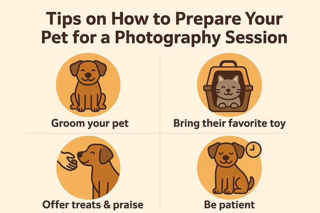 Tips on How to Prepare Your Pet for a Photography Session - Furr and Family