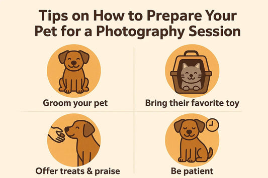 Tips on How to Prepare Your Pet for a Photography Session - Furr and Family