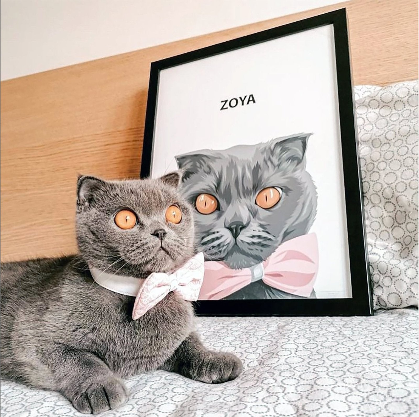 Modern Pet Portrait