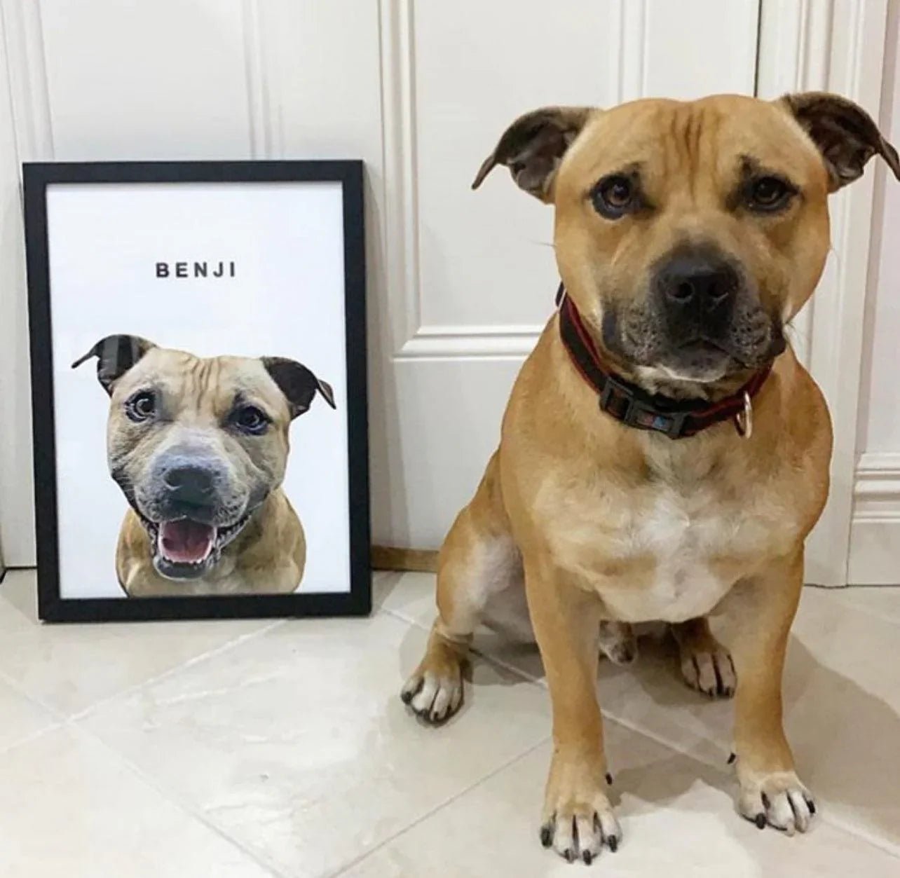Custom Pet Artwork – Celebrate Your Furry Friend with Furr and Family