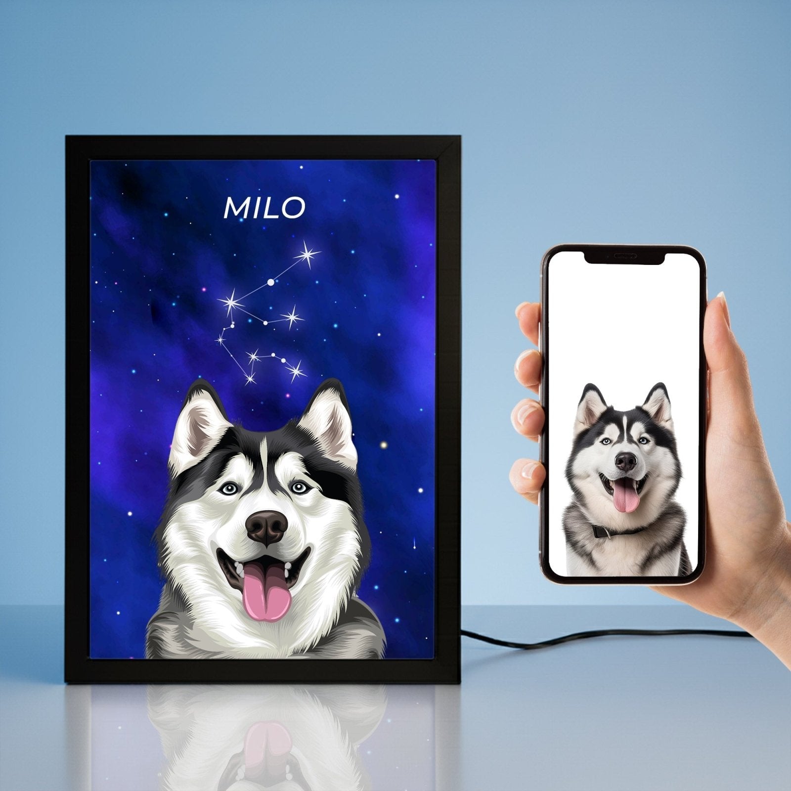 Night Light Pet Portraits