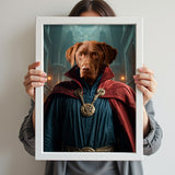 Doctor Strange – Custom Pet Portrait