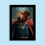 Doctor Strange – Custom Pet Portrait