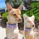 Custom Pet Shaped Memorial Pillow for Pet Owners from Your Pet Picture