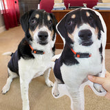 Custom Pet Shaped Memorial Pillow for Pet Owners from Your Pet Picture
