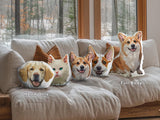 Custom Pet Shaped Memorial Pillow for Pet Owners from Your Pet Picture