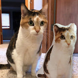 Custom Pet Shaped Memorial Pillow for Pet Owners from Your Pet Picture
