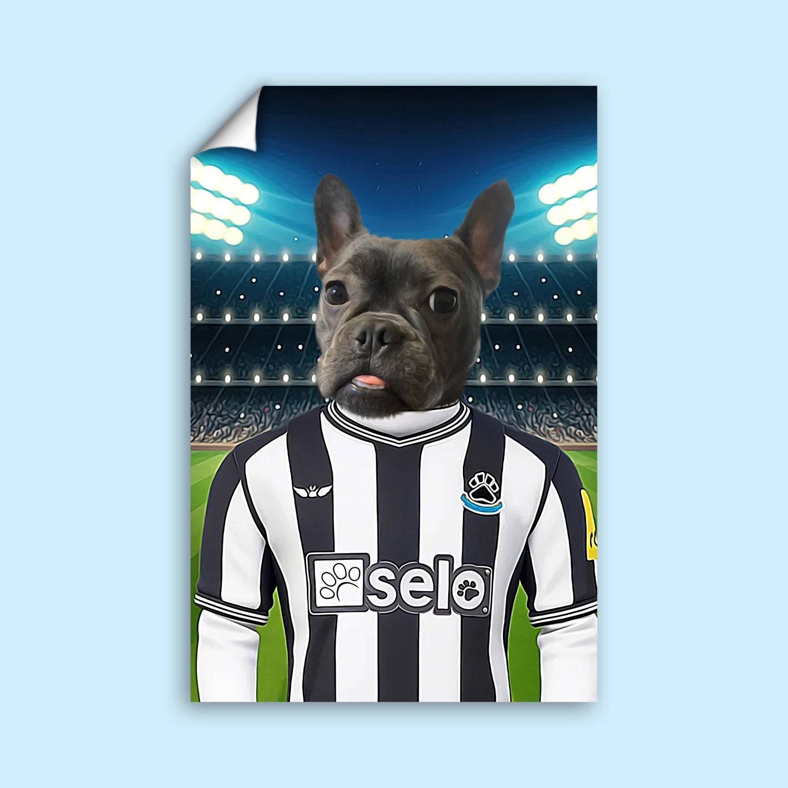 Star Striker Pet Portrait - 1 Pet - Furr and Family