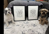 One line art Pet Drawing - Custom Pet Portrait