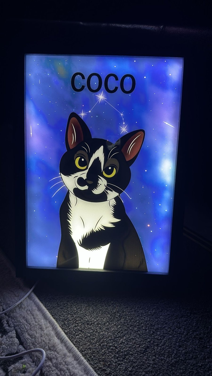 Celestial Pet Portrait LED Night Light - Night Light Pet Portrait - 1 Pet - Furr and Family