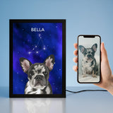Celestial Pet Portrait LED Night Light - Night Light Pet Portrait - 1 Pet - Furr and Family